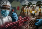 Ebola Outbreak in Central Africa Raises Global Health Concerns